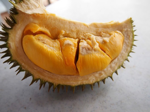 durian-yellow-johor-6